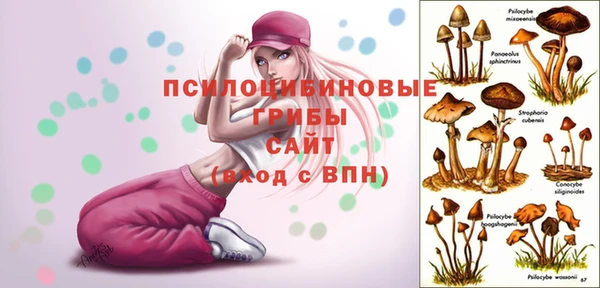 индика Гусь-Хрустальный